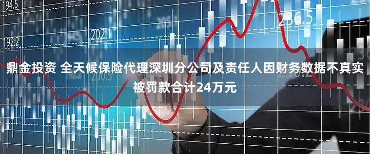 鼎金投资 全天候保险代理深圳分公司及责任人因财务数据不真实被罚款合计24万元