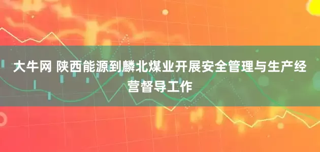 大牛网 陕西能源到麟北煤业开展安全管理与生产经营督导工作