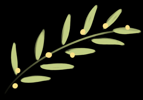 优配无忧 【相公庄·全环境立德树人】悦见成长，静待花开--相公庄学区学校中心小学召开家校交流会